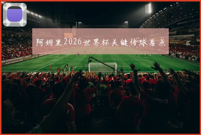 阿姆里2026世界杯关键传球看点