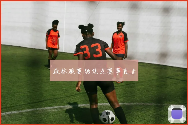 森林狼赛场焦点赛事直击