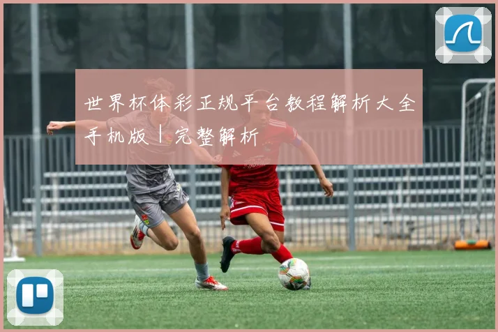 世界杯体彩正规平台教程解析大全手机版｜完整解析