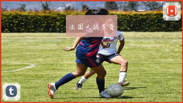 法国大战多哥
