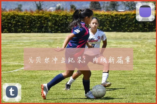戈贝尔冲击纪录：内线新篇章