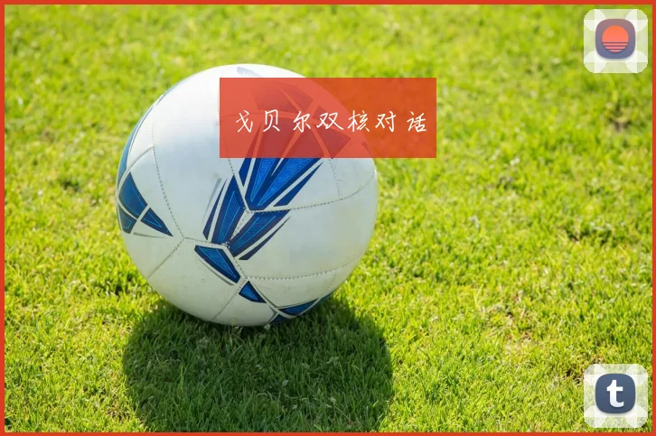 戈贝尔双核对话