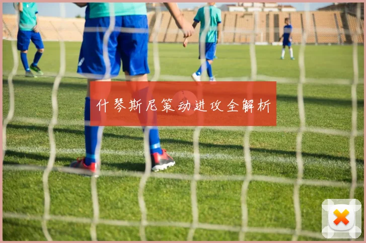 什琴斯尼策动进攻全解析
