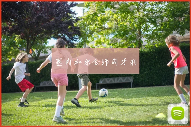 塞内加尔会师匈牙利