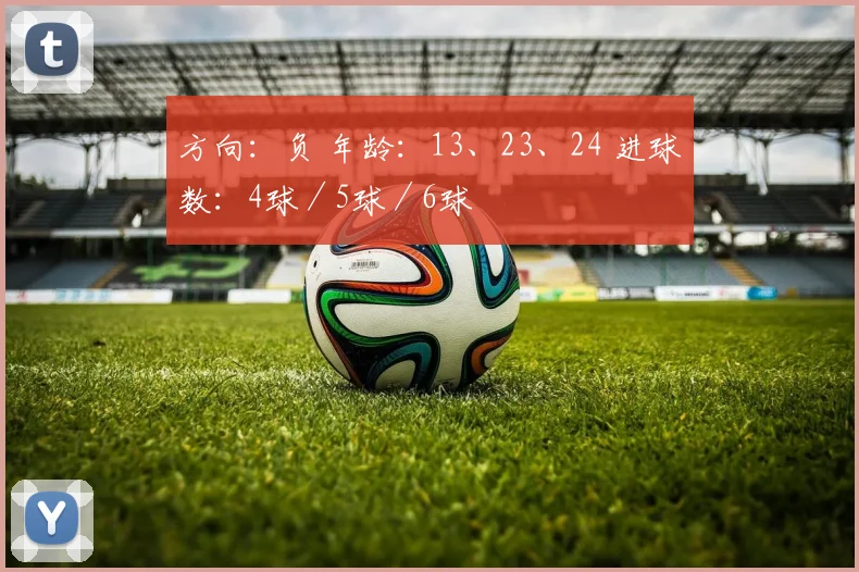 方向：负 年龄：13、23、24 进球数：4球／5球／6球