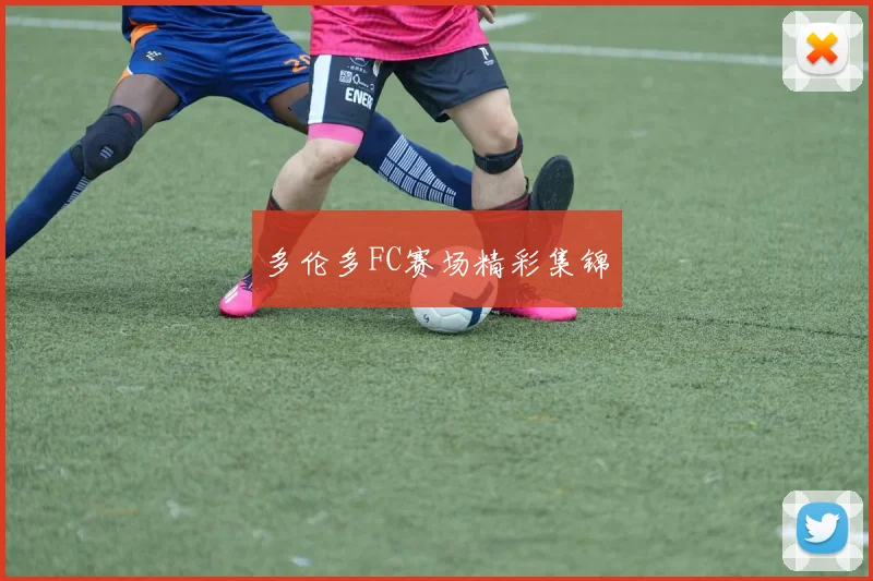 多伦多FC赛场精彩集锦