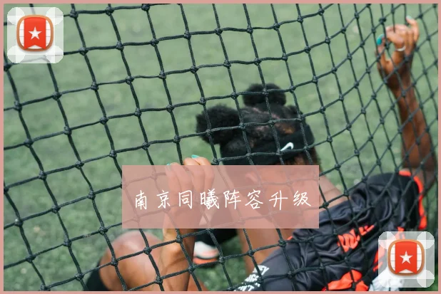 南京同曦阵容升级