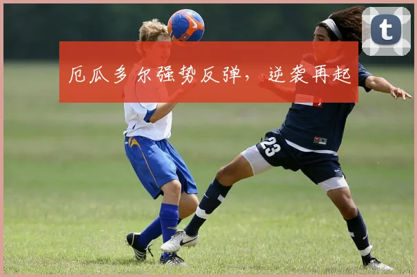厄瓜多尔强势反弹，逆袭再起