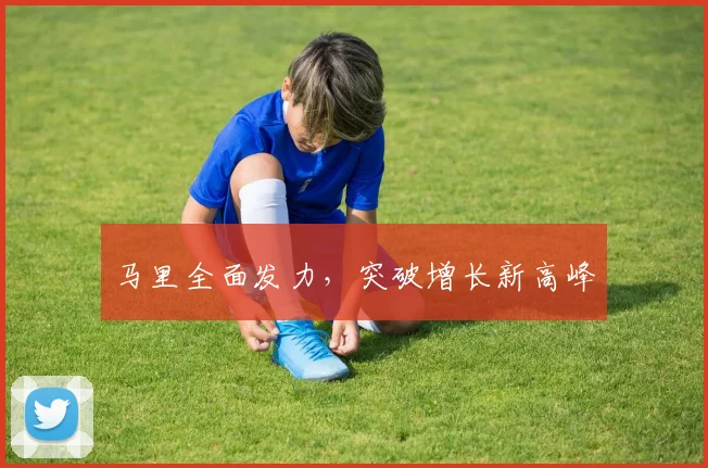 马里全面发力，突破增长新高峰