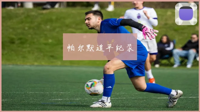 帕尔默追平纪录
