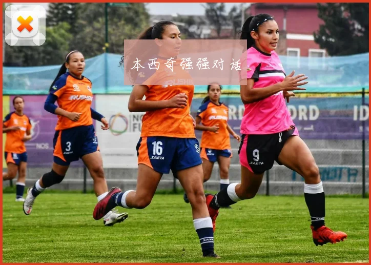 本西奇强强对话