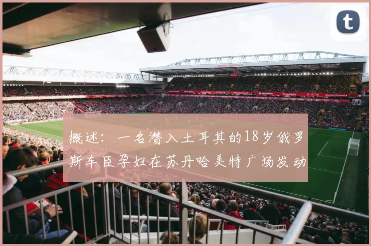 概述：一名潜入土耳其的18岁俄罗斯车臣孕妇在苏丹哈美特广场发动针对外国游客的自杀式爆炸
