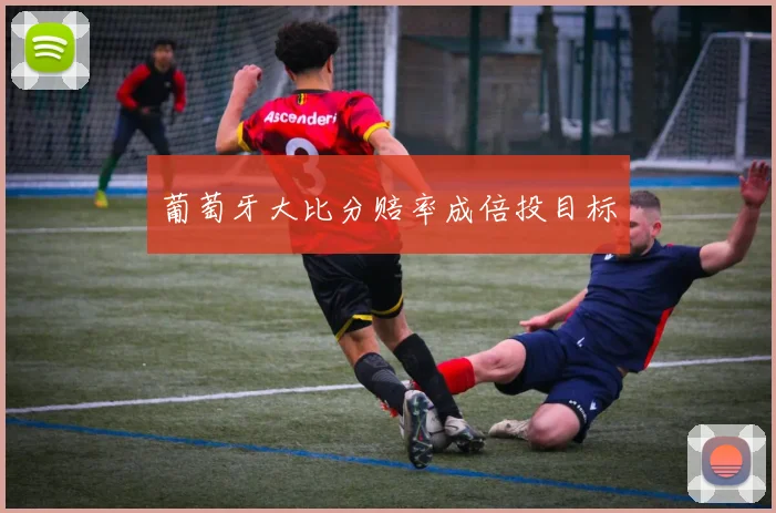 葡萄牙大比分赔率成倍投目标
