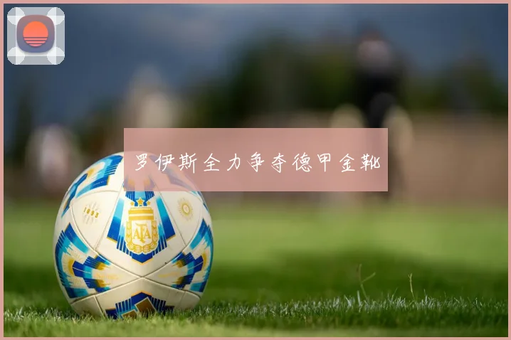 罗伊斯全力争夺德甲金靴