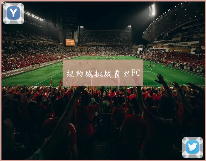 纽约城挑战首尔FC