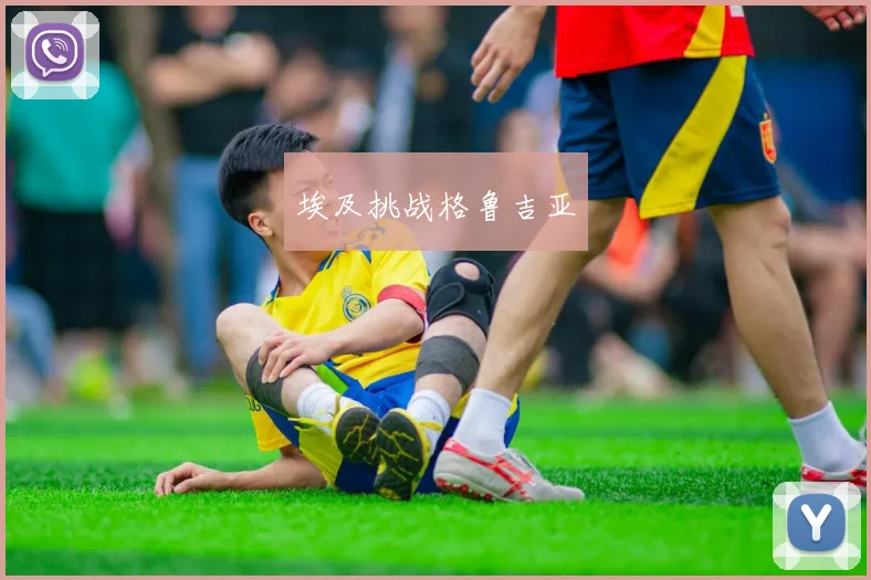 埃及挑战格鲁吉亚