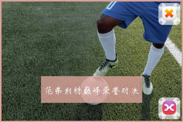 范弗利特巅峰荣誉对决