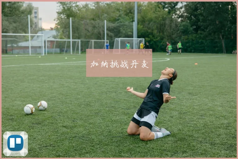 加纳挑战丹麦