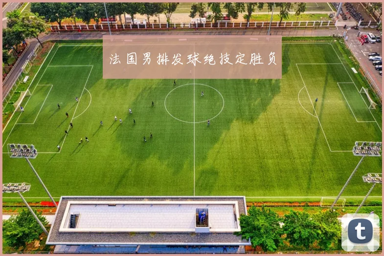 法国男排发球绝技定胜负