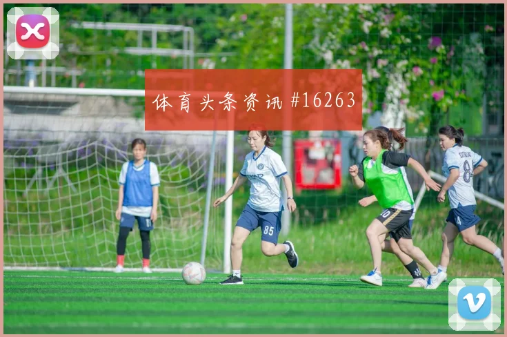 6月24日南非韩国赛前阵容观察